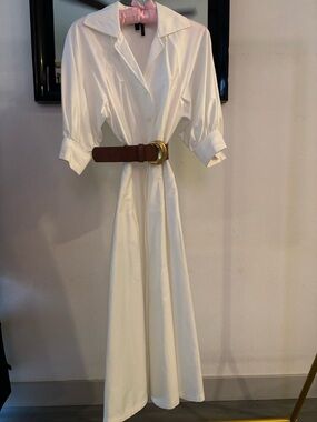 chinese dress ladies Long Sleeve Double Breasted Maxi Coat Dress | Gown